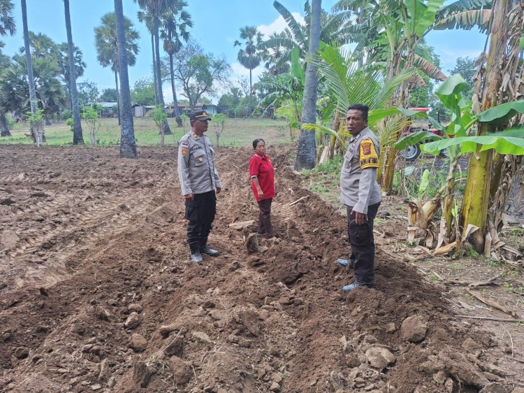 Gerakan Lumbung Jagung Kapolda NTT, Polsek Kewapante Polres Sikka Turun Tangan di Desa Langir