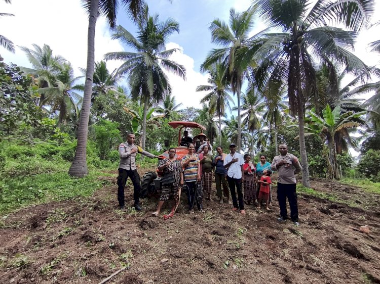 “Dukung Lumbung Jagung Kapolda NTT, Polres Sikka Polda NTT Panen dan Olah Lahan Bersama Petani”