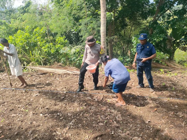 Polres Sikka Polda NTT Dorong Kemandirian Pangan Lewat Gerakan Lumbung Jagung Kapolda NTT