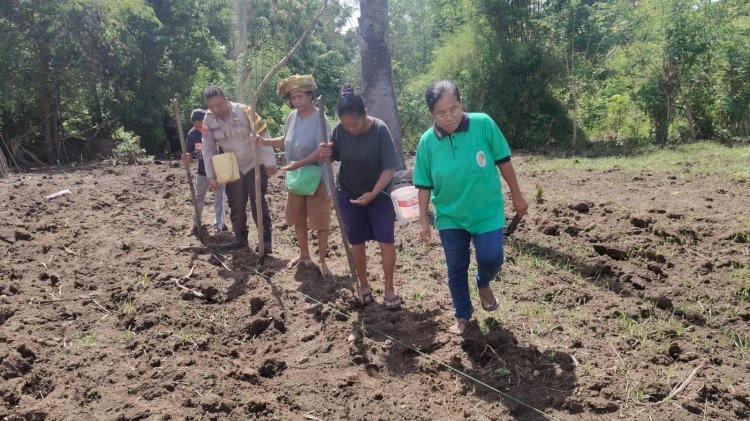 Dari Mako ke Lahan: Bhabinkamtibmas Desa Langir Buktikan Polres Sikka Polda NTT Juga Pejuang Pangan