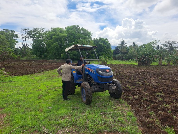 Sinergi di Tengah Ladang: Bhabinkamtibmas Polres Sikka Polda NTT dan Petani Nuba Puan Genjot Produksi Jagung