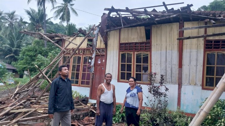 Cek Lokasi Bencana, Polsek Bola Polres Sikka Pastikan Tidak Ada Korban Jiwa dalam Puting Beliung di Watukrus