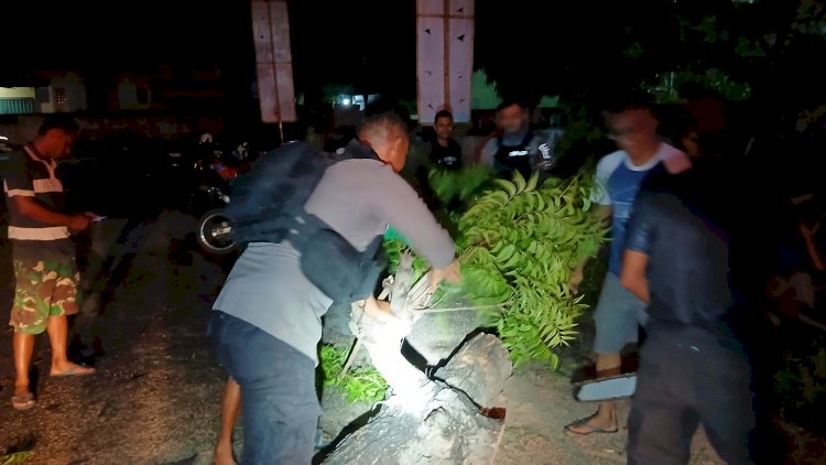 Sigap Hadapi Bencana, Turjawali Samapta Polres Sikka Polda NTT Bersihkan Pohon Tumbang, Akses Jalan Moa Toda Kembali Normal