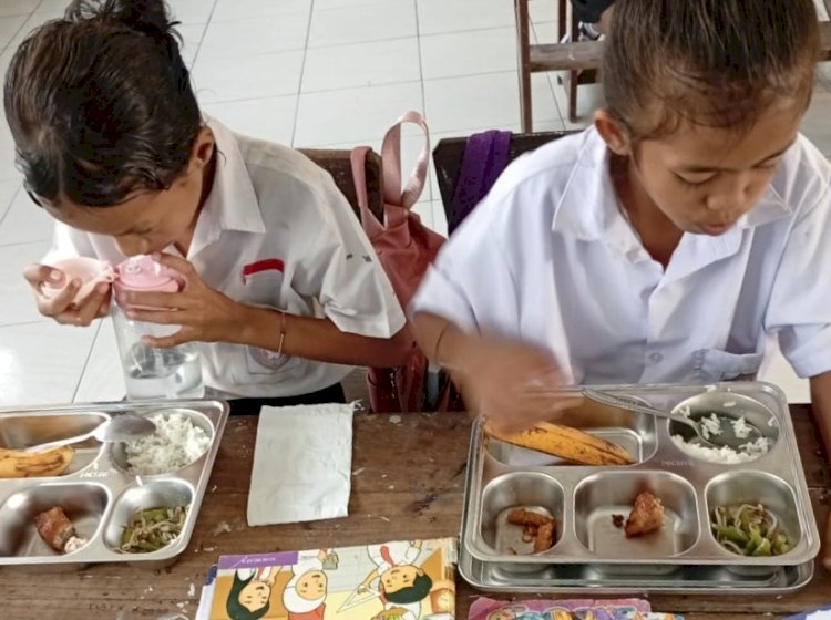 Dari Dapur hingga Sekolah, Program Makan Bergizi Gratis Jangkau Puluhan Ribu Warga Sikka