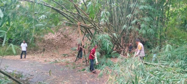 Jalur Maumere–Koting Sempat Terhambat, Respons Cepat Polsek Nelle Polres Sikka Kembalikan Kelancaran Lalu Lintas
