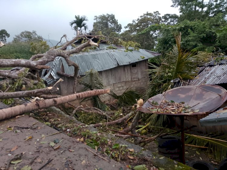 Angin Kencang Robohkan Pohon, Dua Rumah Warga Nita Rusak Berat