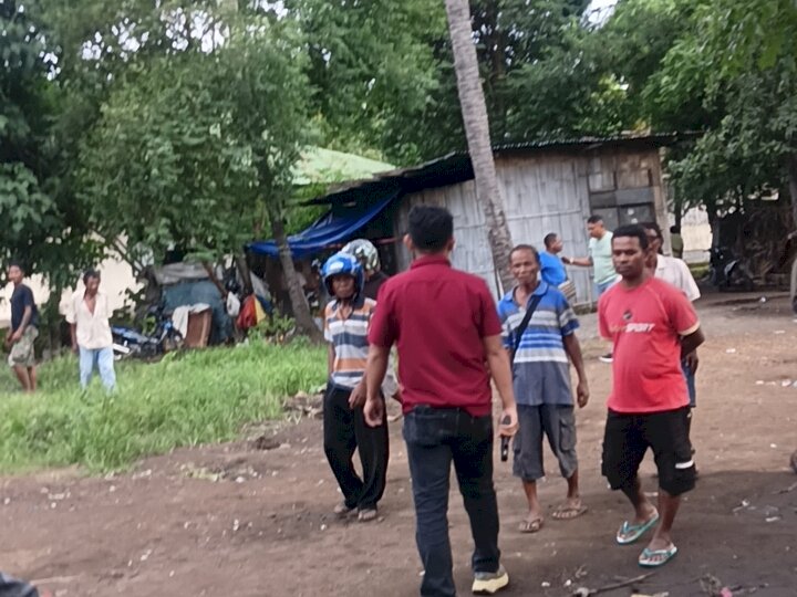 Digelar Terbuka dan Meresahkan, Judi Sabung Ayam Pisau Digerebek Polres Sikka Polda NTT