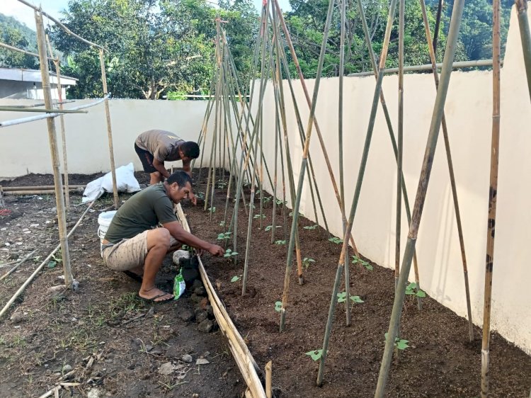 “Hijaukan Pekarangan, Kuatkan Ketahanan: Inisiatif Pangan Polsubsektor Mego Polsek Paga Polres Sikka