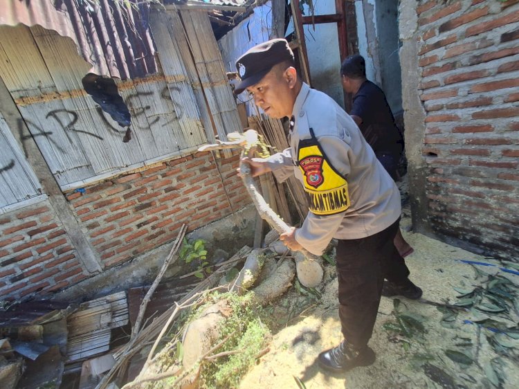 “Sigap di Tengah Bencana: Polsek Paga Polres Sikka Evakuasi Pohon Tumbang di Masebewa”