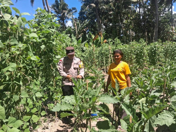 “Terik Matahari Tak Halangi Personel Polres Sikka Dampingi Petani, Ketahanan Pangan Dikuatkan dari Desa”