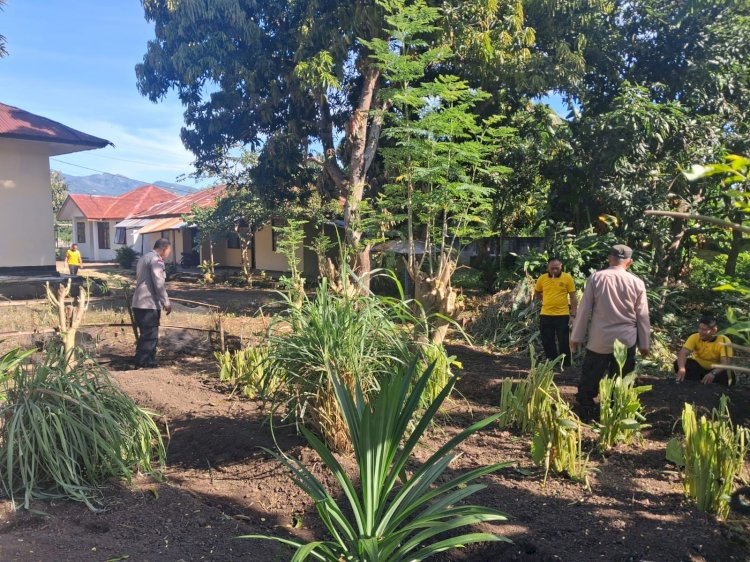 Polsek Nelle Polres Sikka Tancap Gas Wujudkan Ketahanan Pangan, Lahan Tidur Disulap Jadi Kebun Produktif