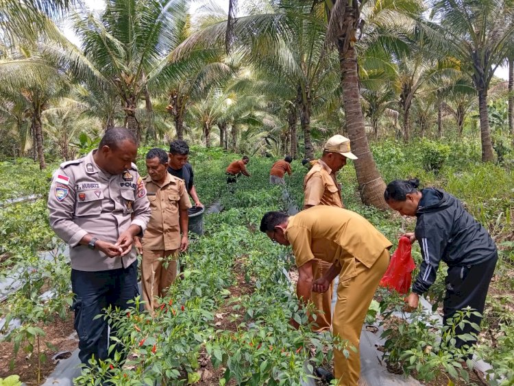 “Dari Pekarangan Bergizi hingga Panen: Polsek Nelle–Nita Tegaskan Komitmen Bangkitkan Ketahanan Pangan”