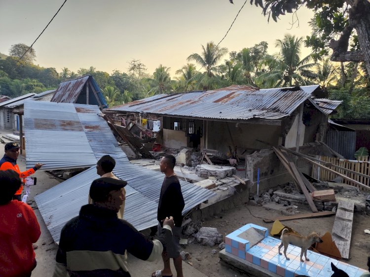 Gempa Guncang Sikka, Palue Terparah: Rumah Roboh, Jalan Terputus, Puluhan Luka, Satu Nyawa Melayang