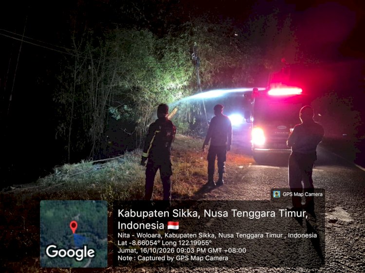 Api Membesar di Tepi Jalan Trans Maumere–Ende, Polres Sikka dan Damkar Berjibaku Padamkan Kebakaran Lahan Bambu