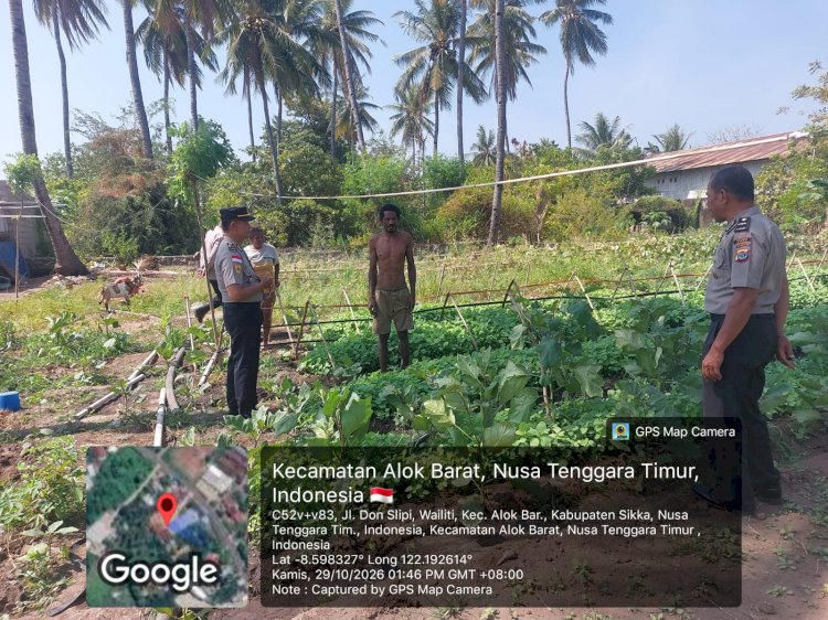 Lawan Tantangan Kemarau, Polres Sikka Dampingi Petani Wujudkan Ketahanan Pangan