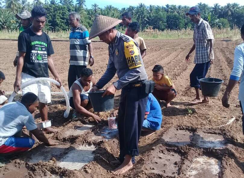 Bhabinkamtibmas Brigpol Soalihin Latih Petani di Desa Nebe, Sikka NTT Cara Bertani Bawang Merah
