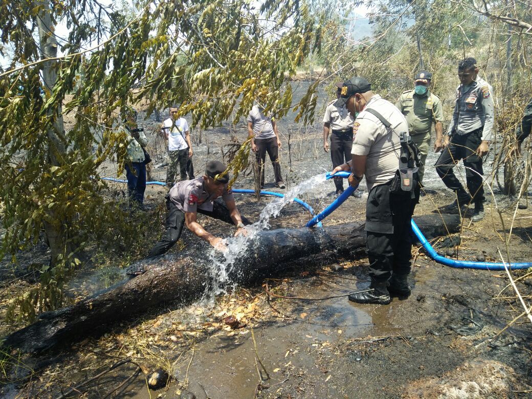 Personil Dalmas Polres Sikka dan Damkar Sikka Bantu Padamkan Api di Lahan Warga Hoder